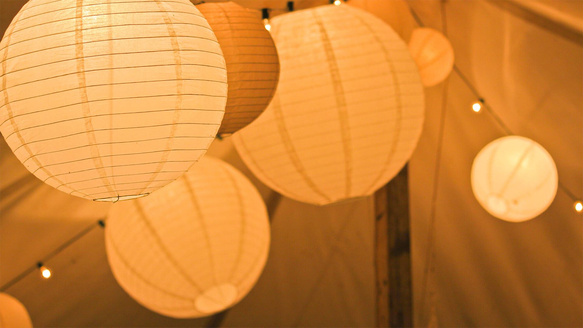 Looking for the right one