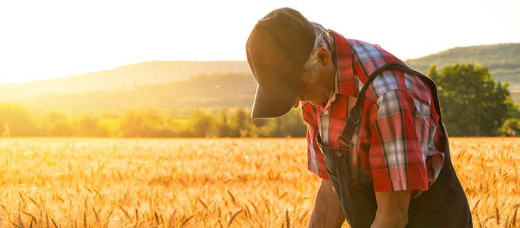 From farm to table, the Crowe team can help you meet these challenges with years of experience and industry specialization. 