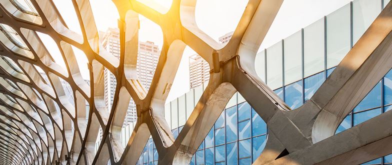 Leadership and executive team